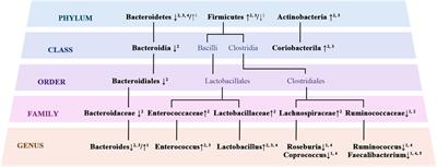 Gut Microbial Dysbiosis and Cognitive Impairment in Bipolar Disorder: Current Evidence